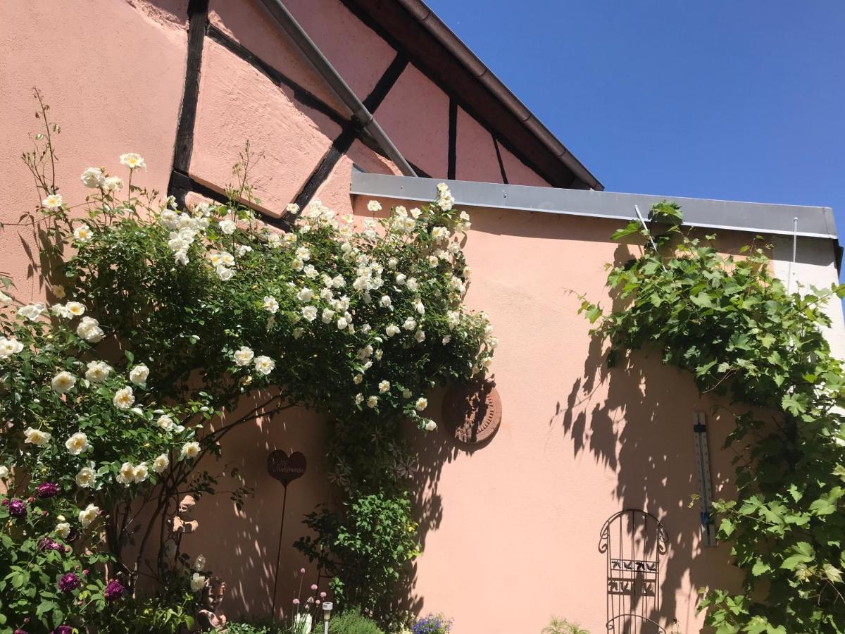 Haus Am Markt Konigstein in der Oberpfalz Bagian luar foto